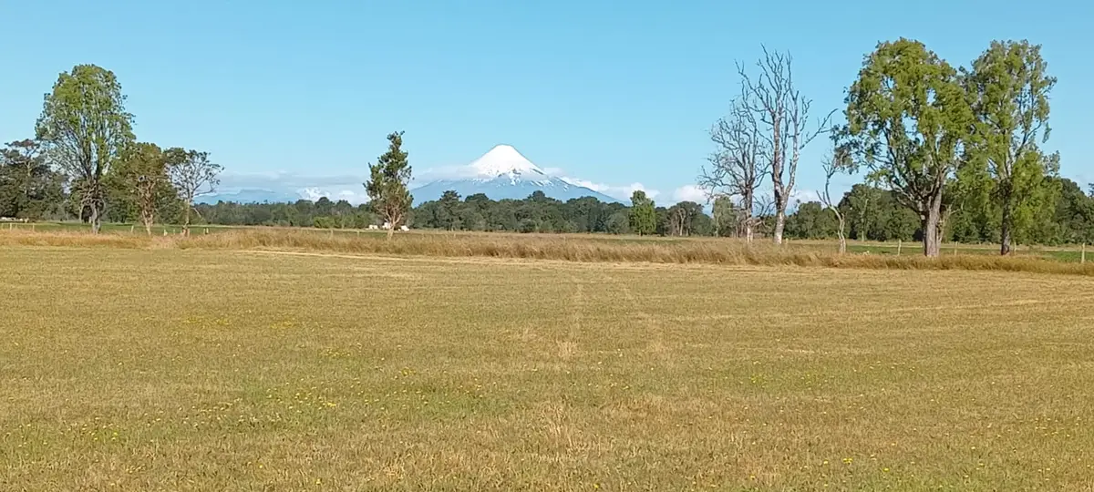 Vista parcelas