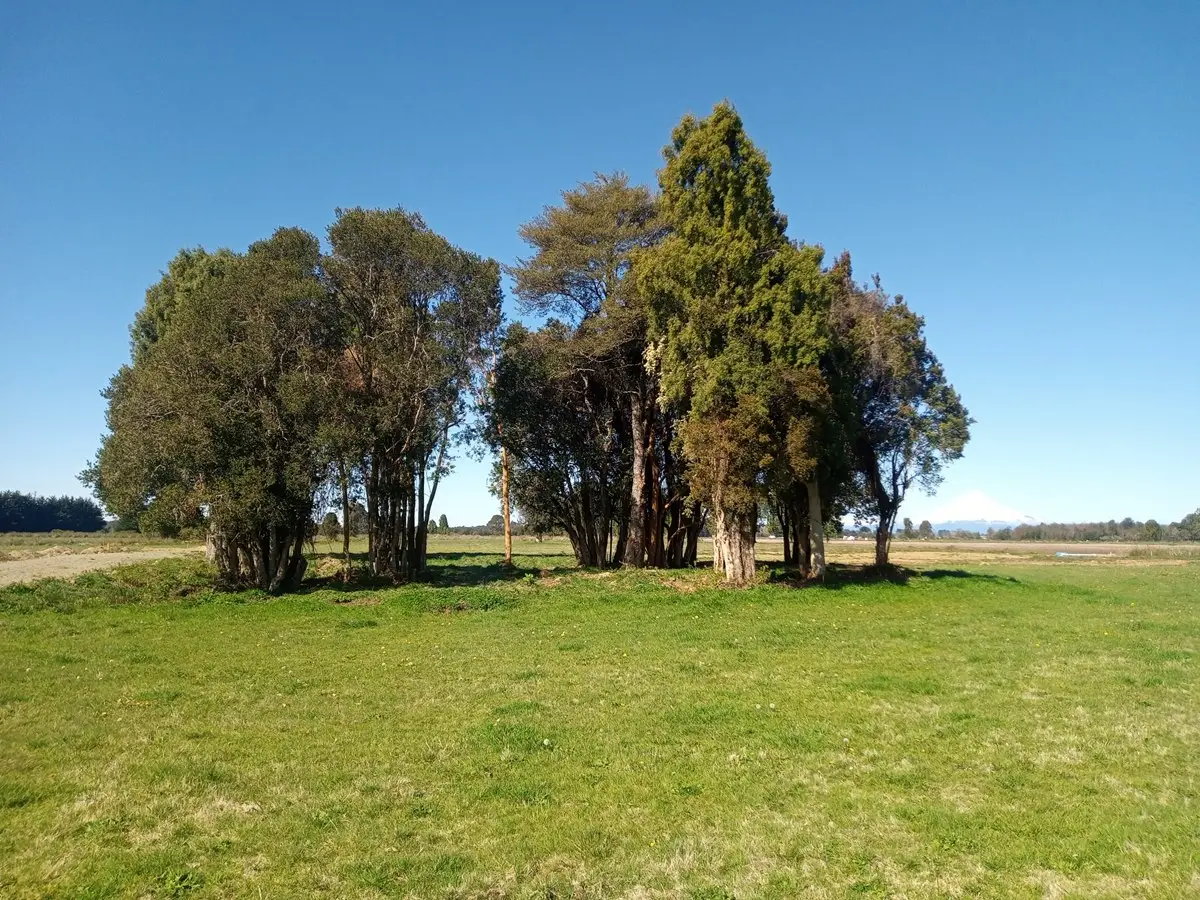 Paisaje del sur de Chile